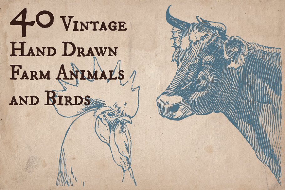 The main image preview of 40 Vintage Farm Animals and Birds.