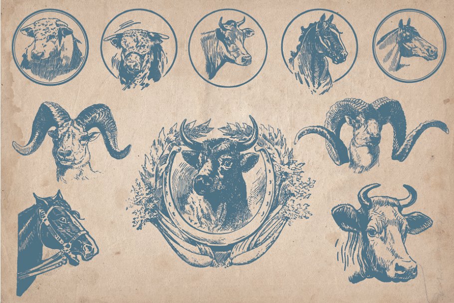 Diverse of farm animals pictures.