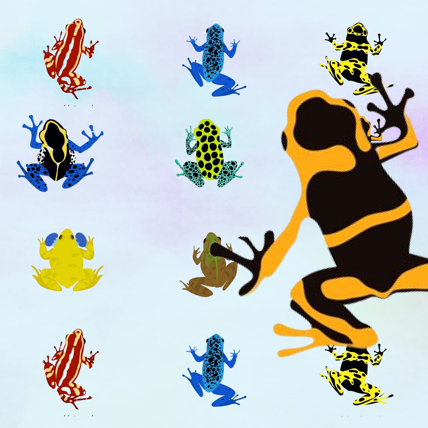 Set of 9 different frogs, flat design.
