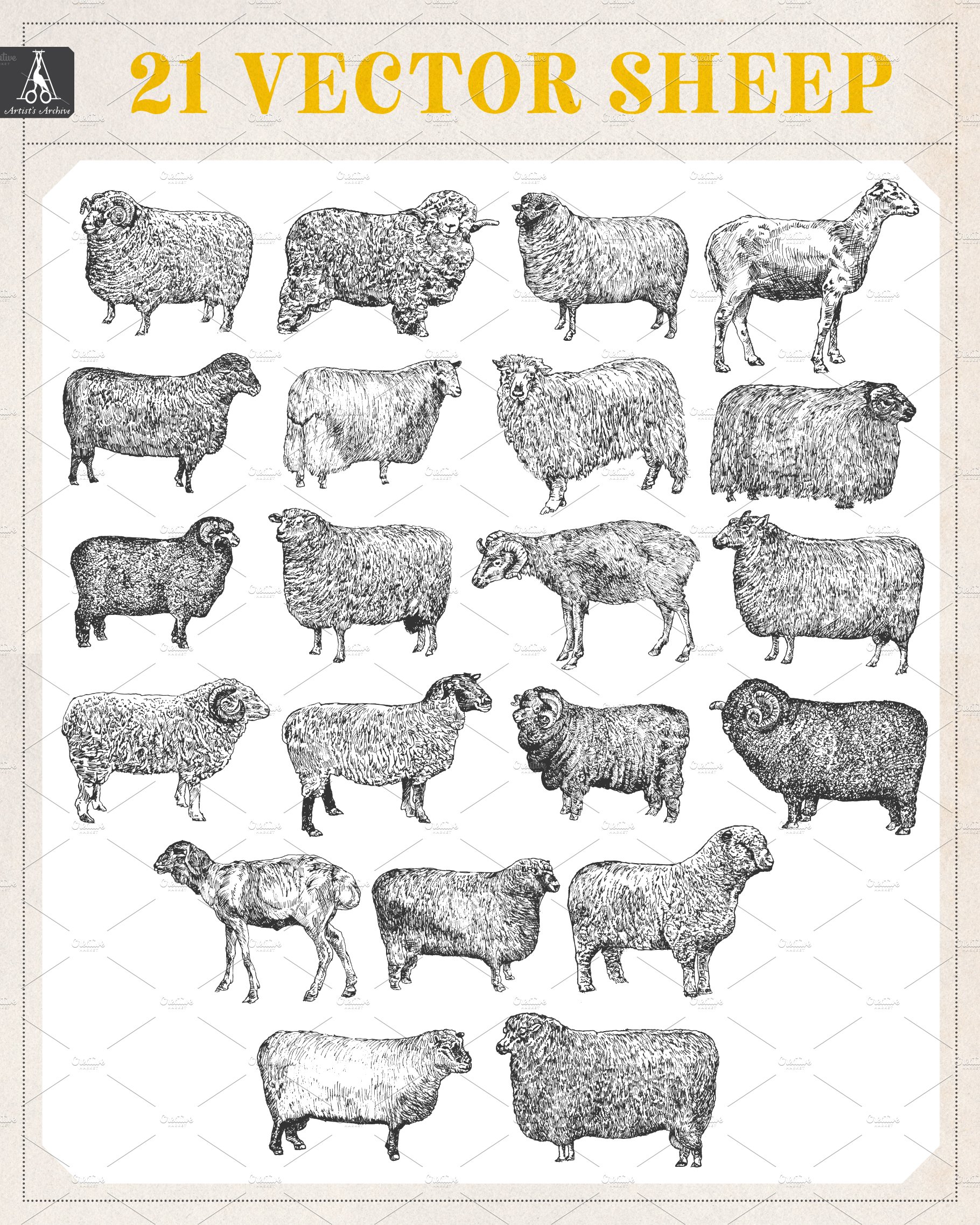 Vintage Sheep Illustration Pack.