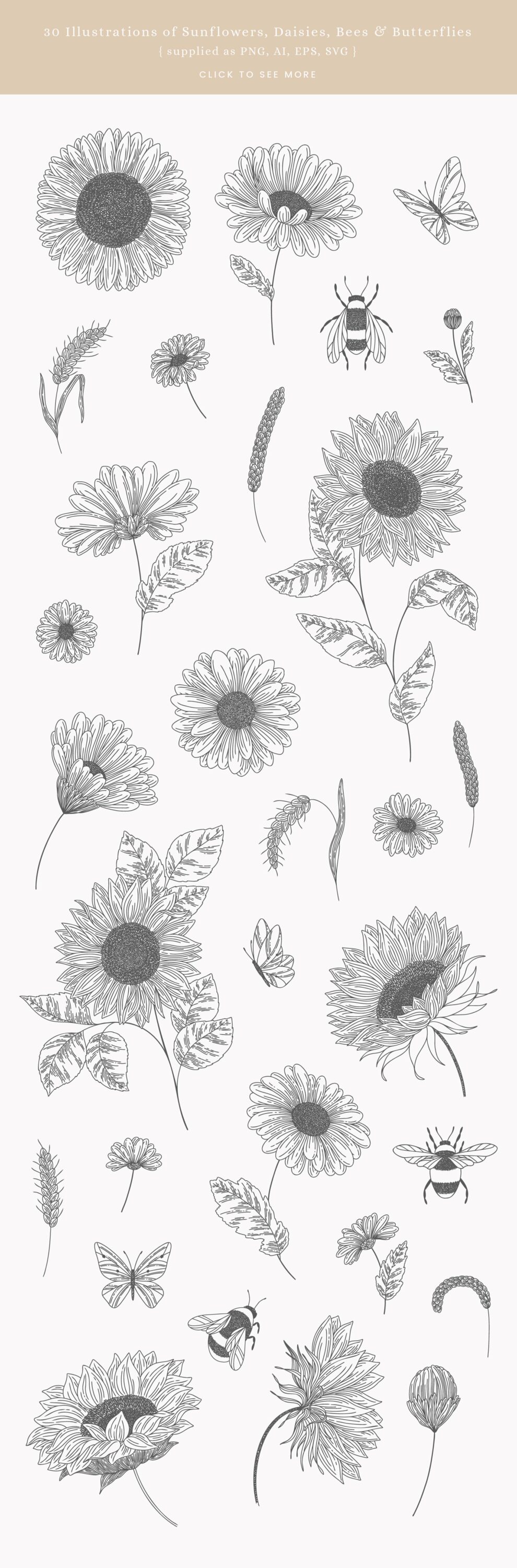Summer Sunflowers Vector Graphics.