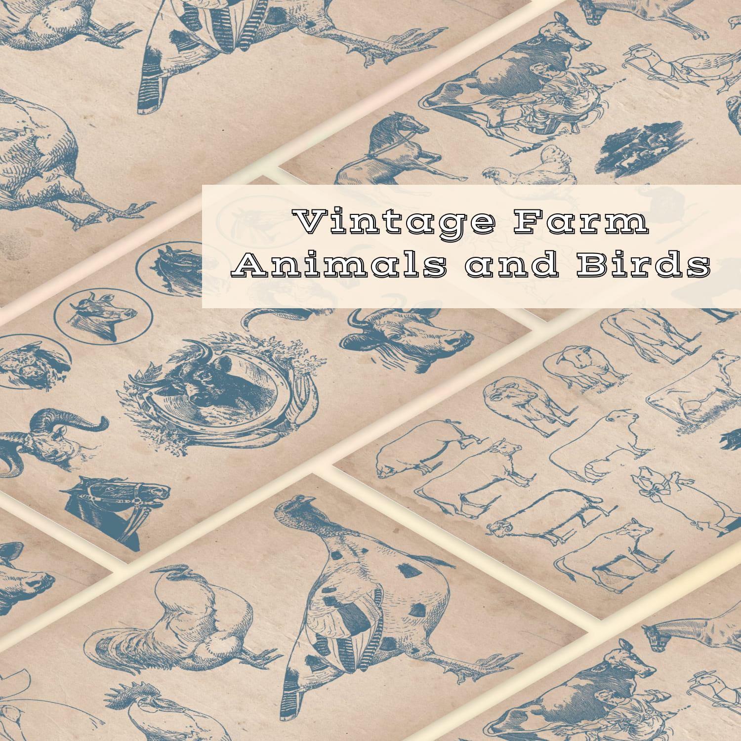 Selection of hand drawn farm animals and birds.