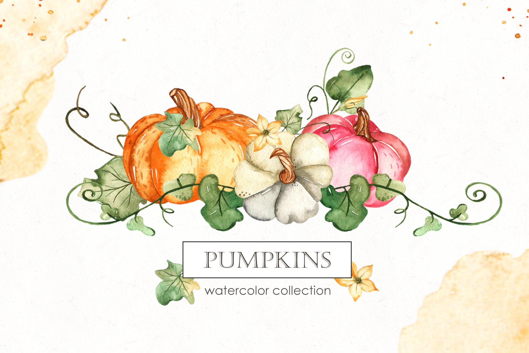 Pumpkins Watercolor Collection.