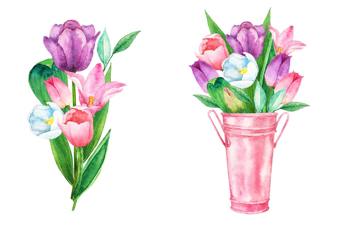 Watercolor Tulip Bouquet & Clipart.