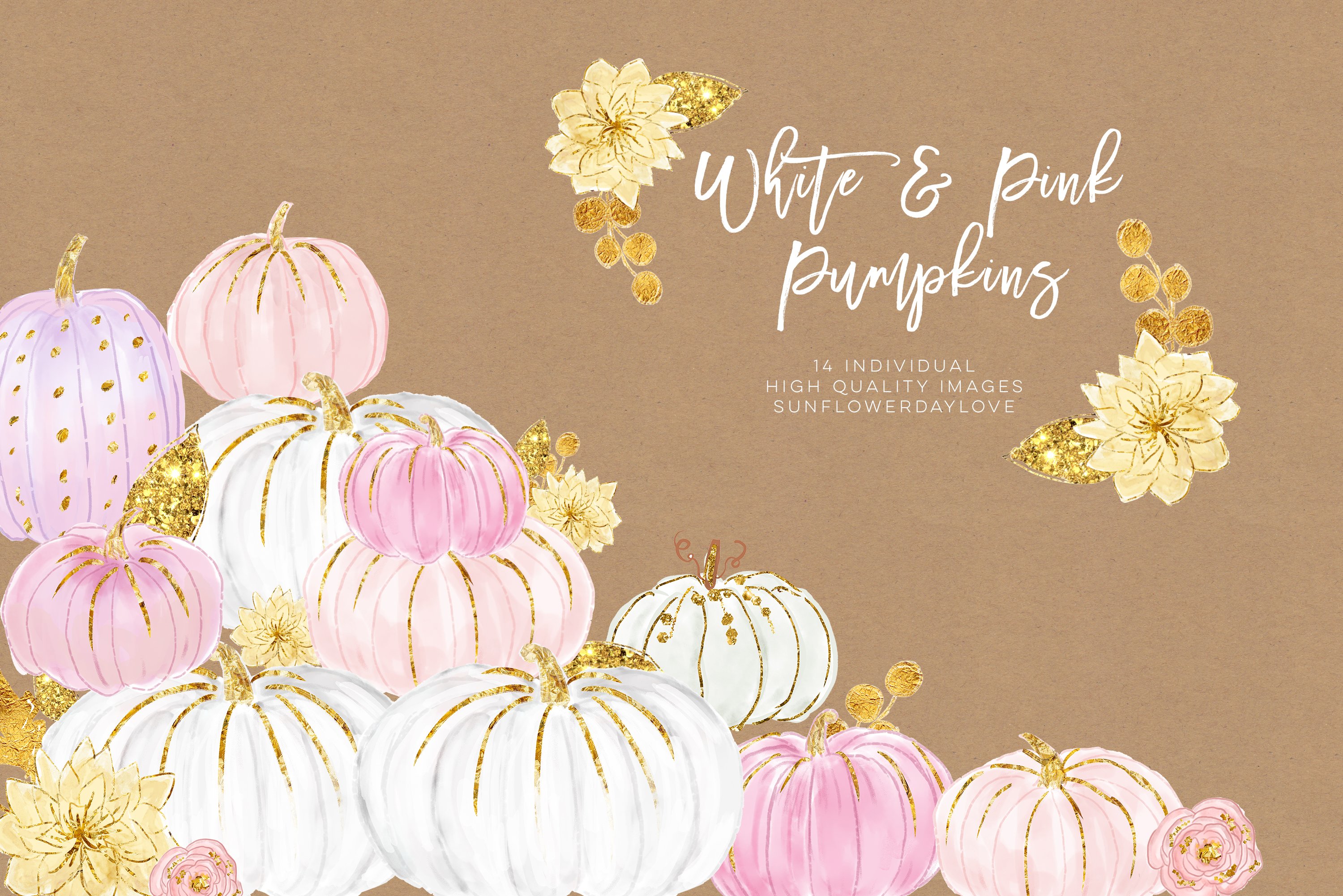 White and Pink Pumpkins.