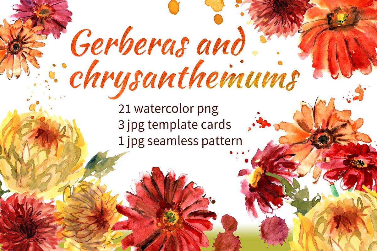 Cover image of Gerberas and Chrysanthemums.