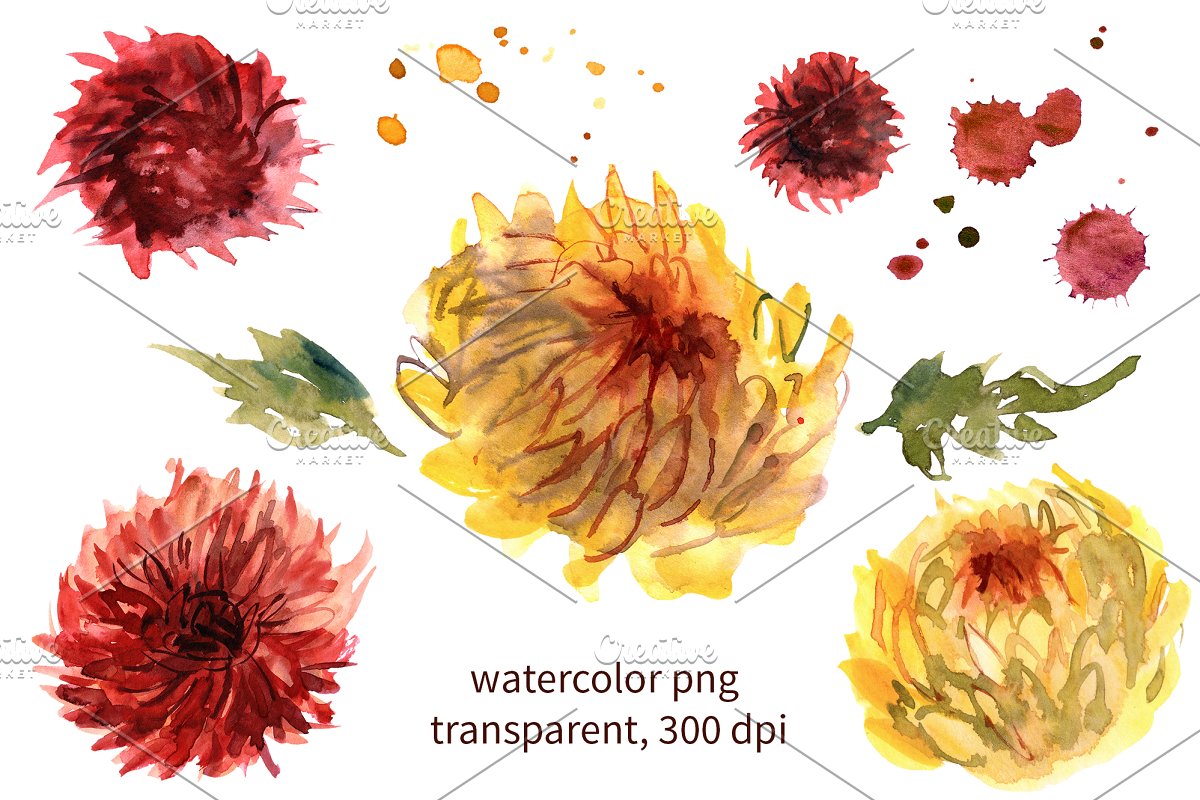 The product contains a large vector collection of hand-drawn graphic gerberas and chrysanthemum flowers.