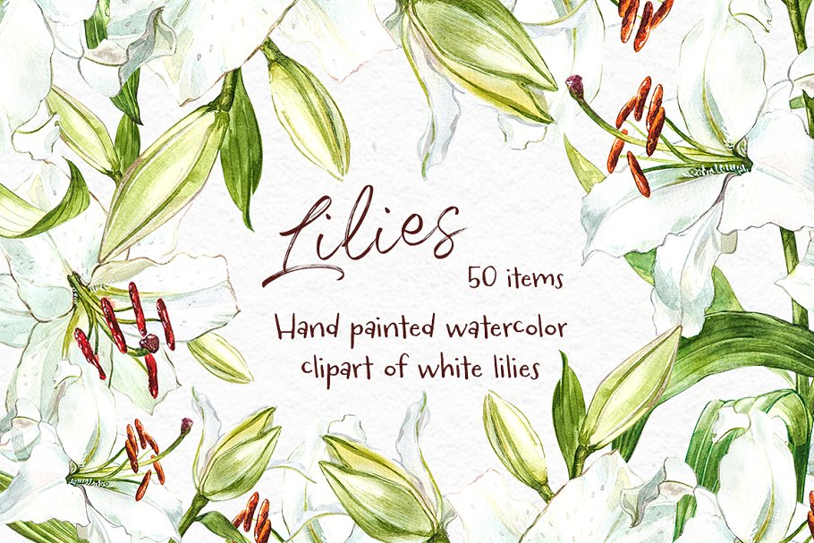 Cover image of White Lilies Watercolor Clip Art.