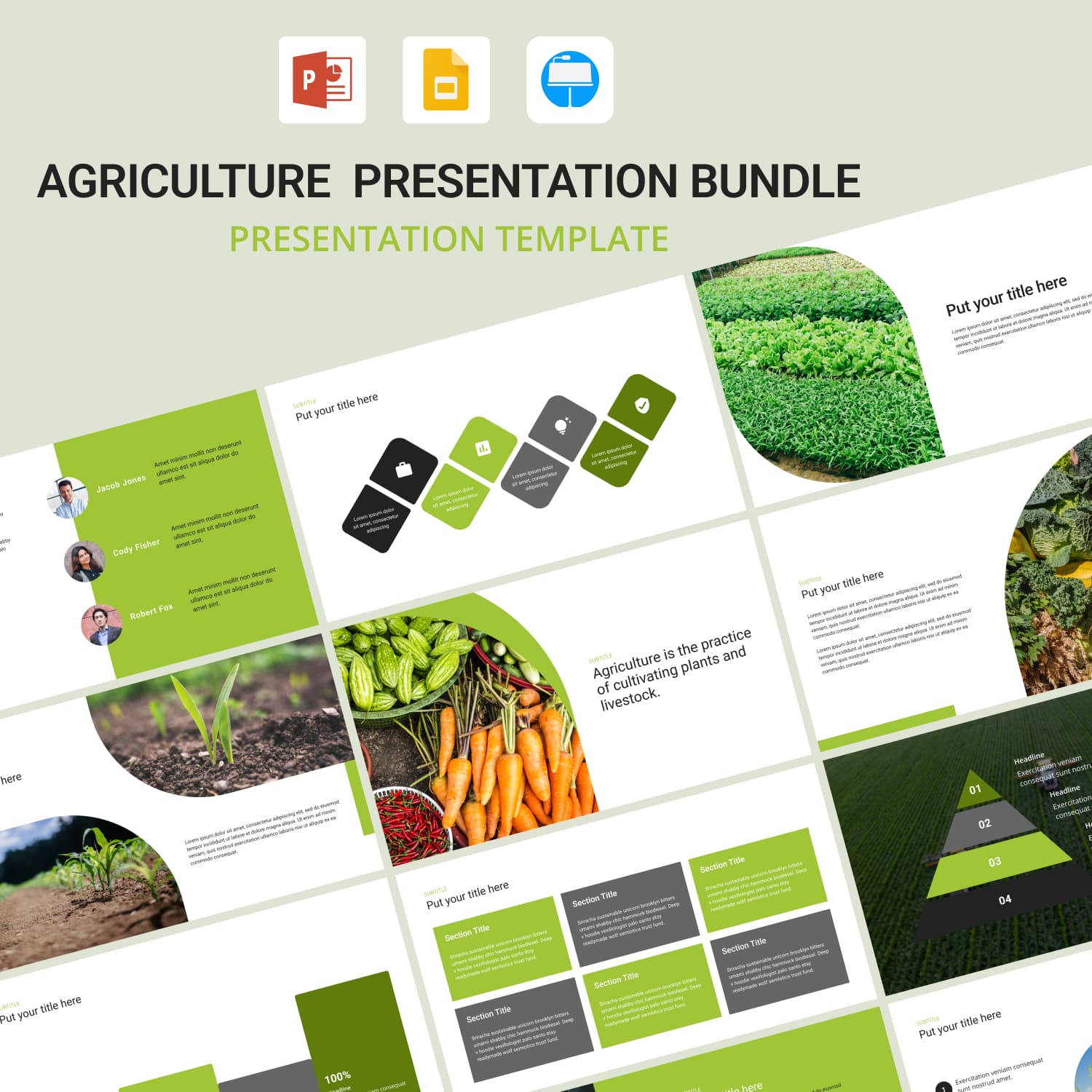 Agriculture Presentation Bundle.