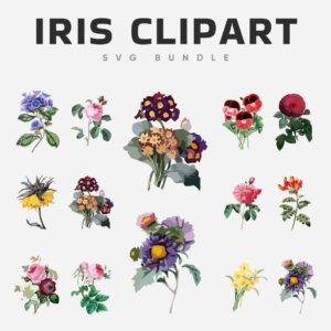 Iris Clipart_V2 svg bundle.