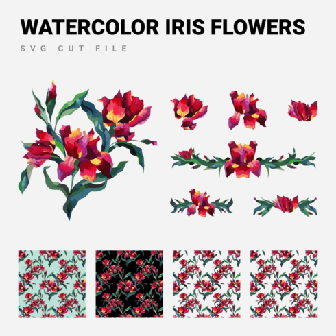 Watercolor iris flowers svg bundle.