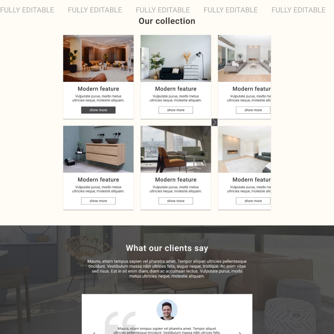 furniture landing page template cover.