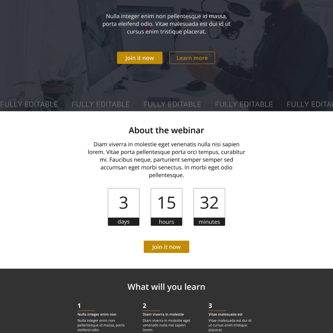 webinar landing page template cover.
