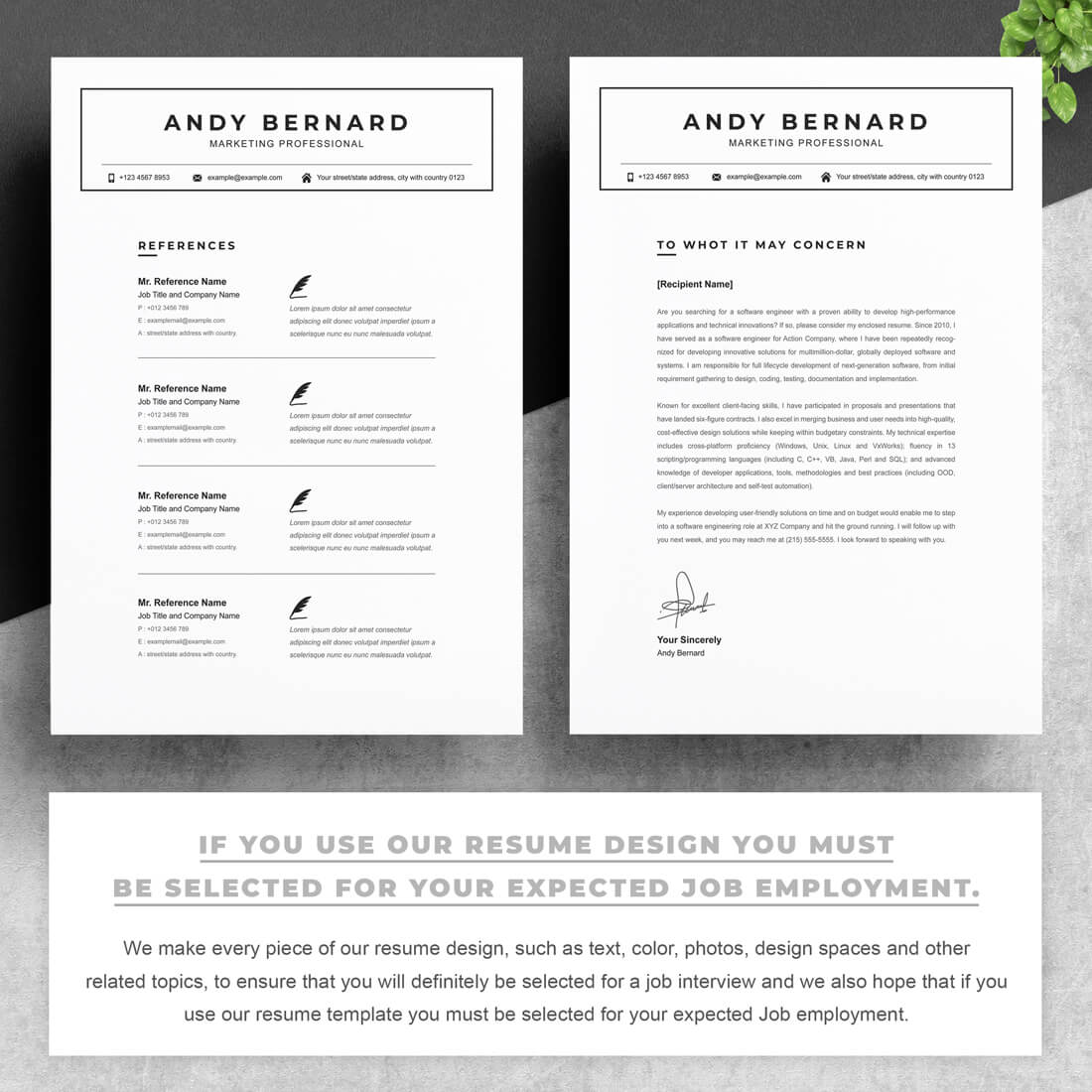 Two resume templates with a plant on top of them.
