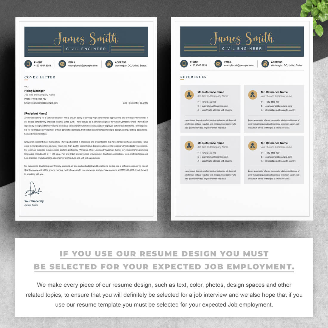 Two pages of resume template.