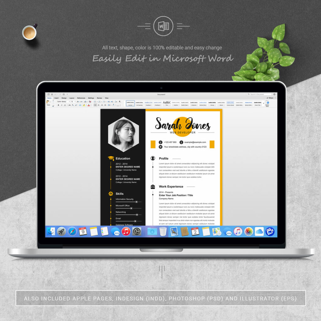 Web Developer CV Template - MasterBundles