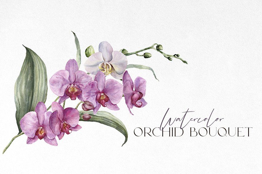 Watercolor orchid bouquet for your creative project.