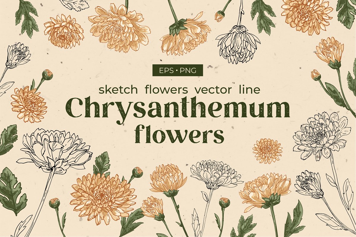 Cover image of Flowers. Chrysanthemums.