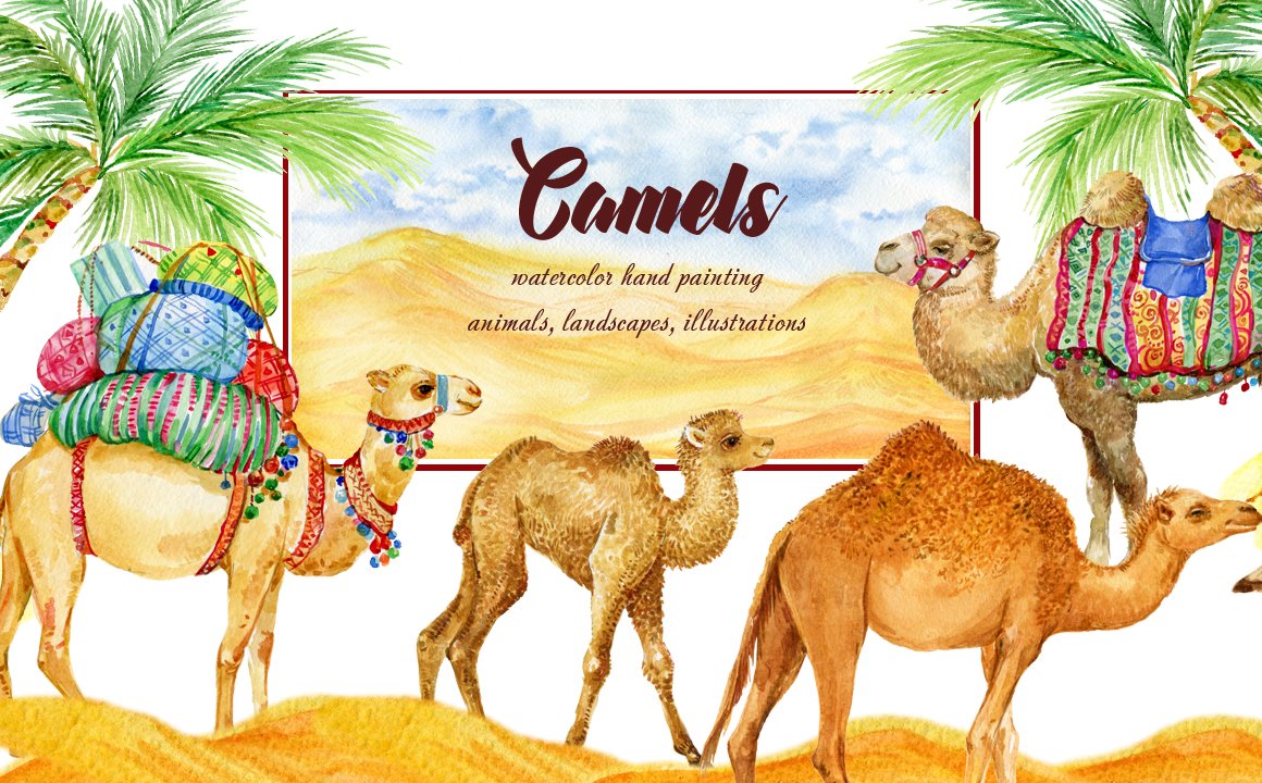 Happy camels life in a desert.