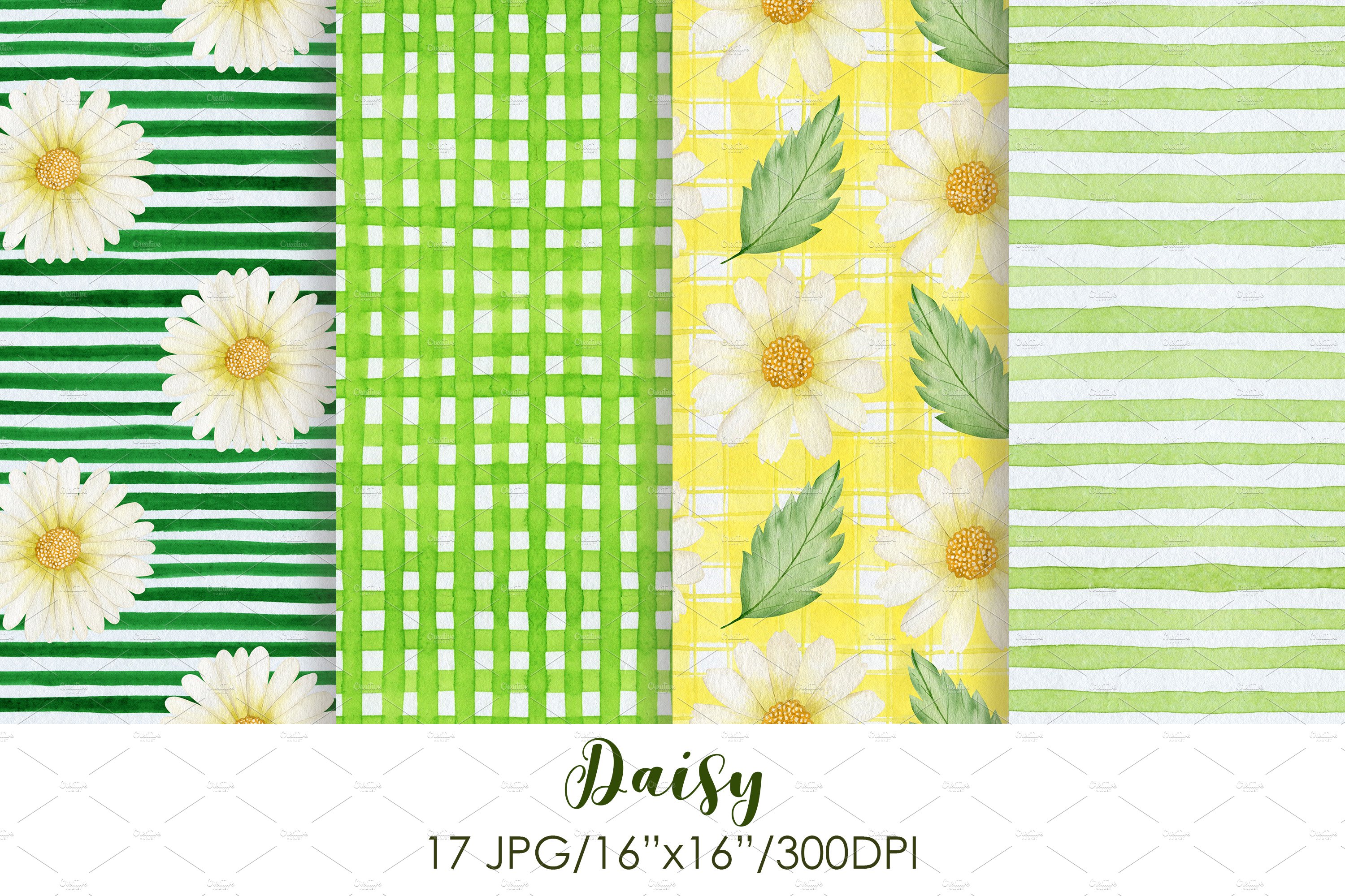 Green daises set for your design.