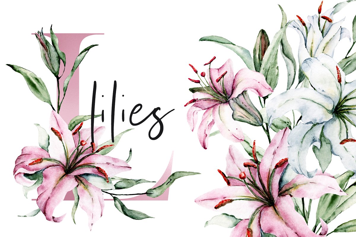 Cover image of Watercolor Flowers Lilies & Alphabet.