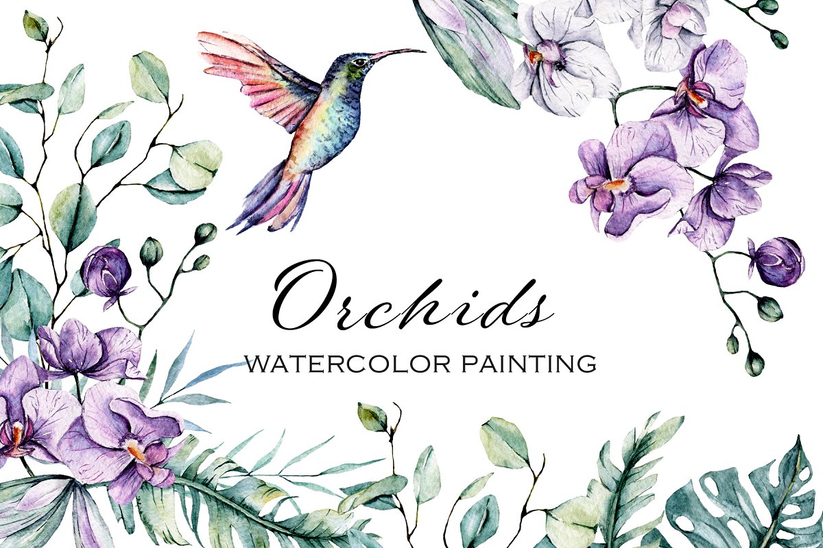 Cover image of Orchids & Hummingbird Watercolor Set.