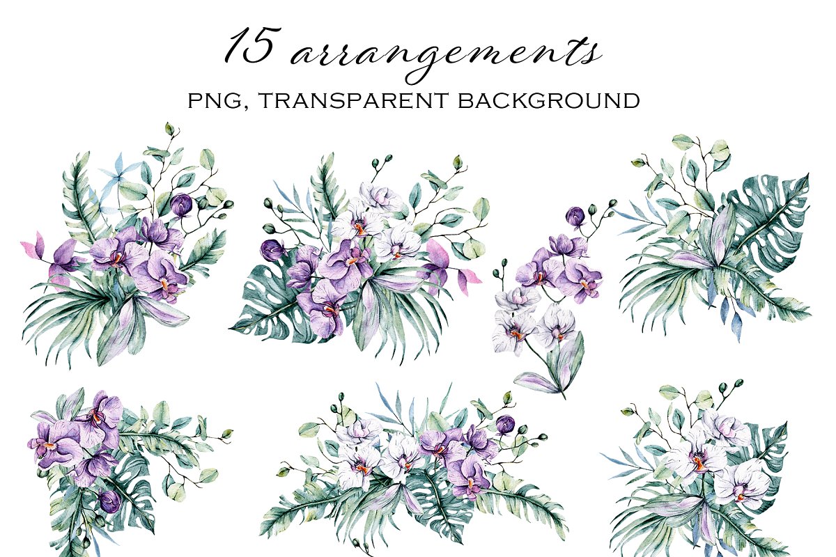 This set includes 15 compositions in PNG files with transparent background.