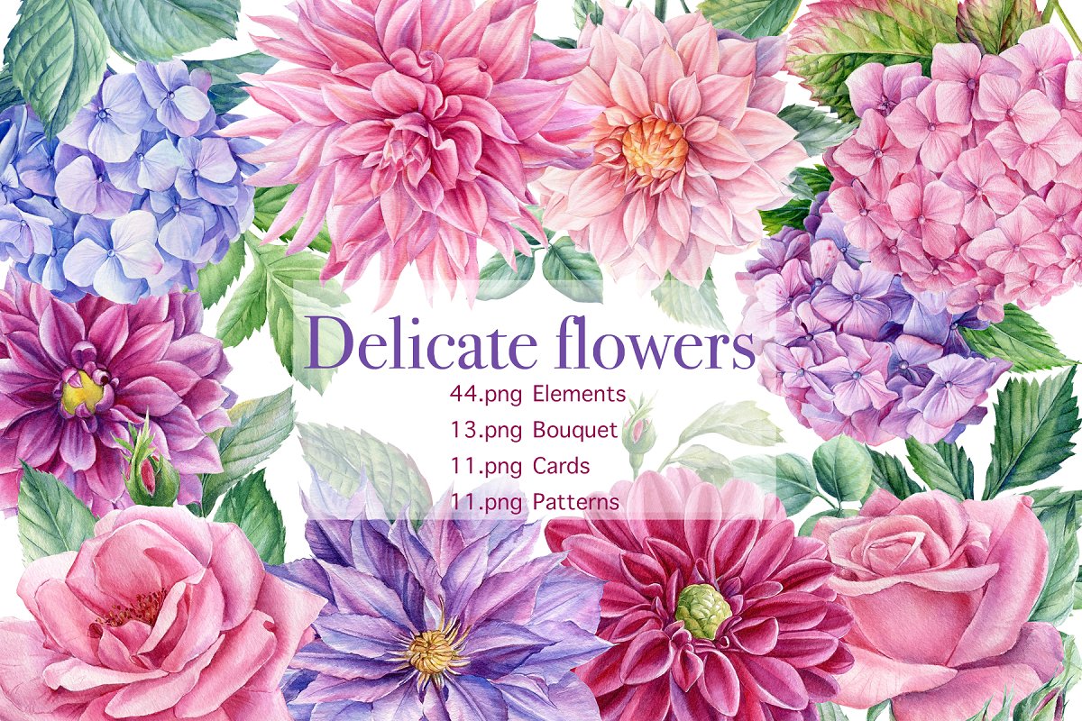Cover image of Delicate Flowers.