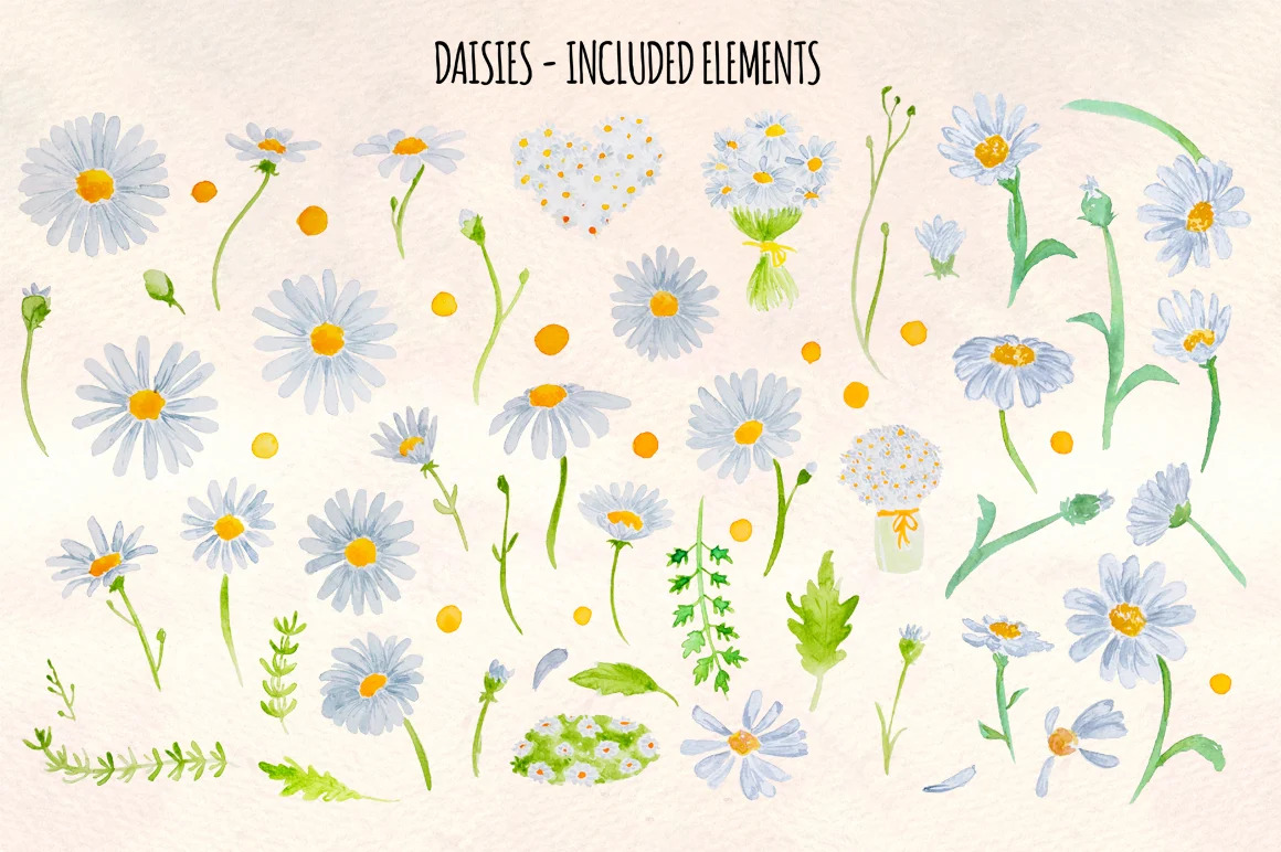 Daises and bees collection with a glitter font.
