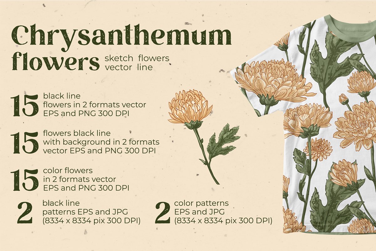 The product contains a large vector collection of hand-drawn graphic chrysanthemum flowers.
