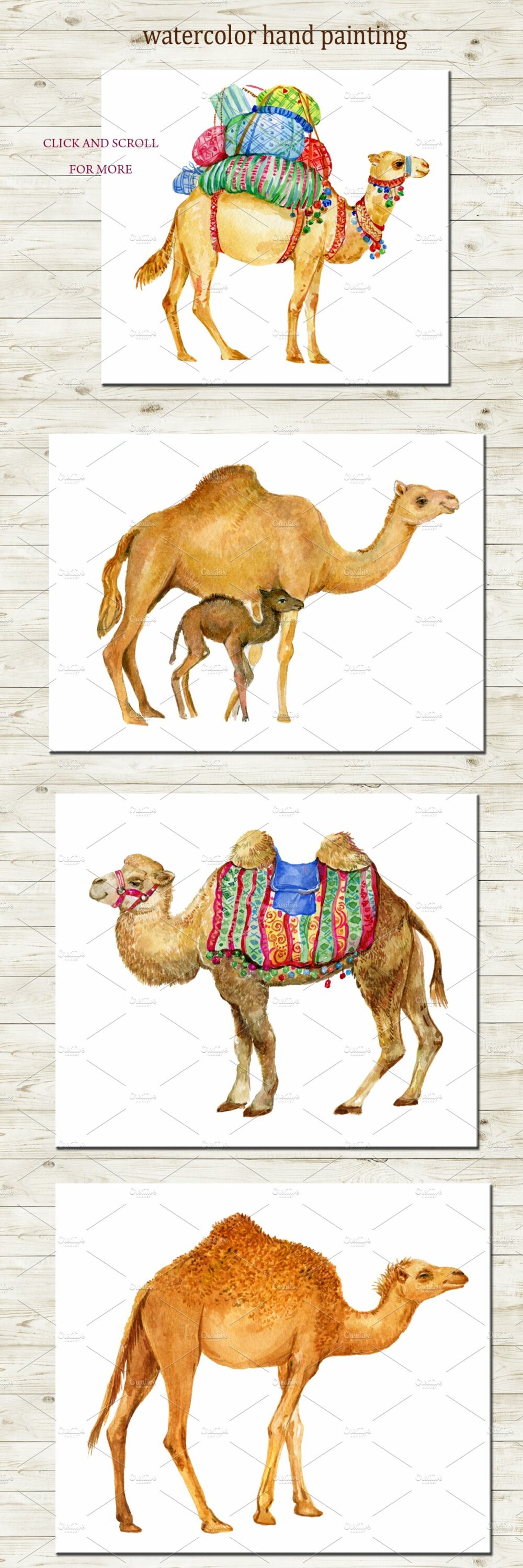 Camel in the different clothes.