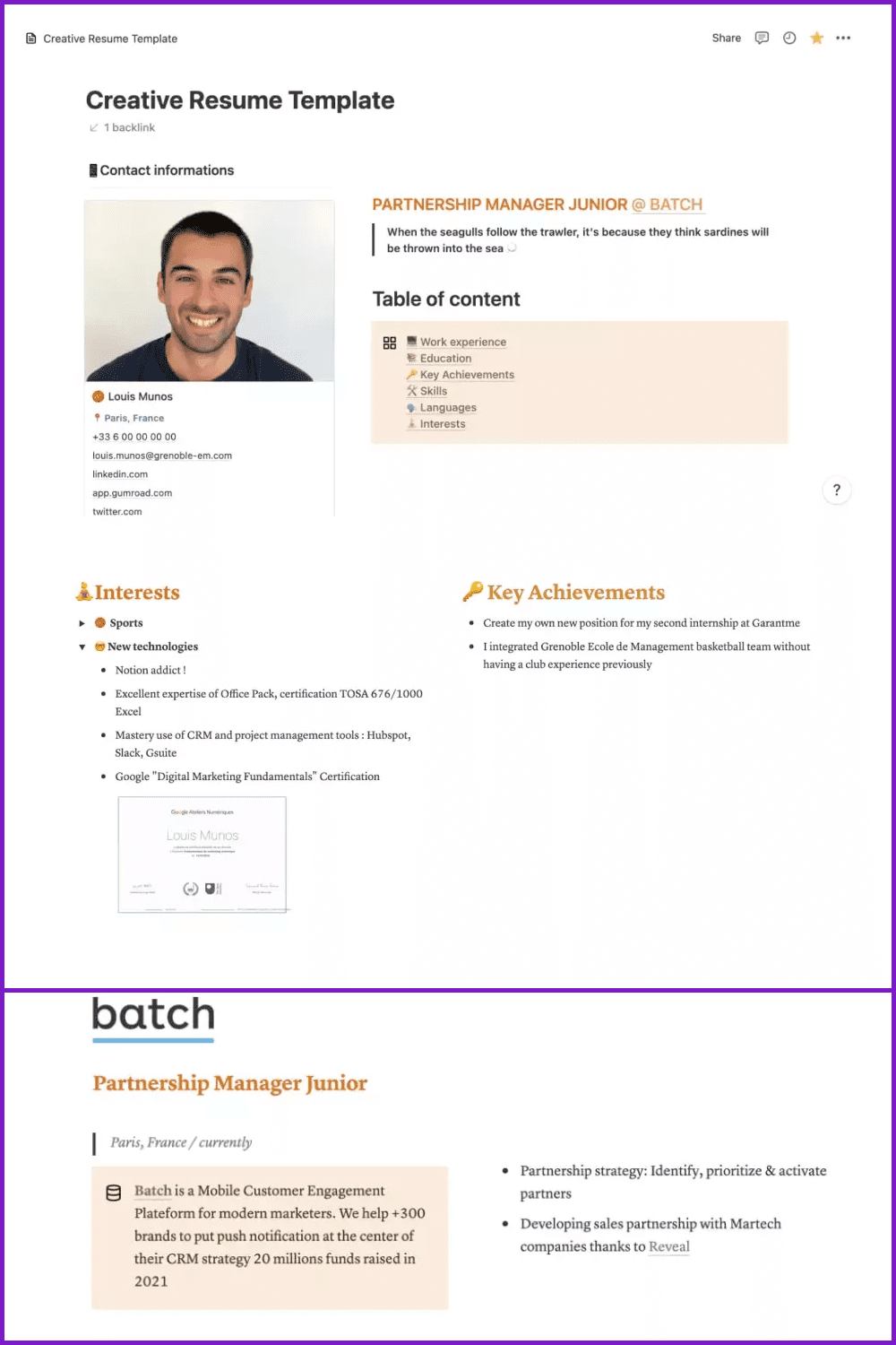 Creative Resume Template (Notion templates for students).