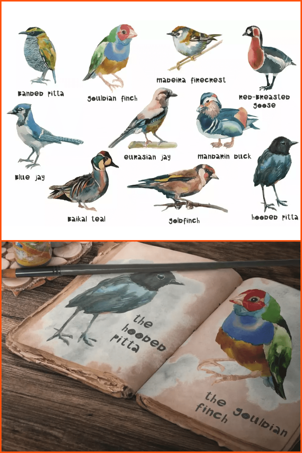 Beautiful Watercolor Birds.