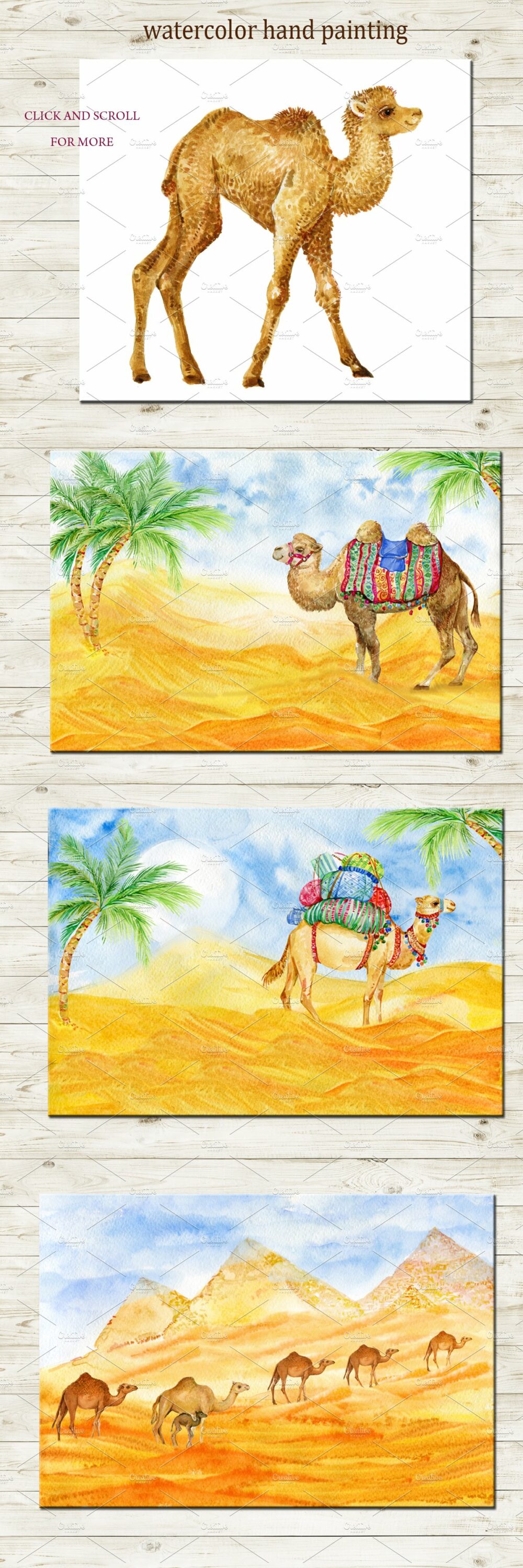 Camels in the different mood.