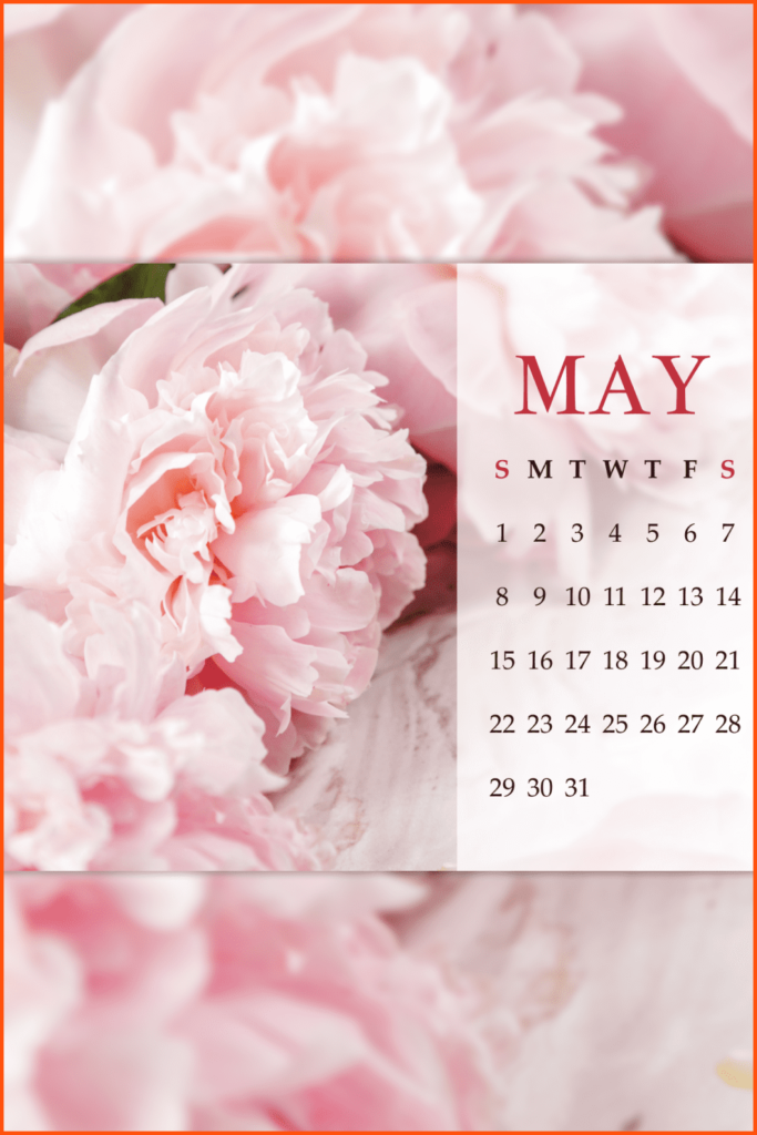 50+ Amazing May Calendars 2022 Collection MasterBundles