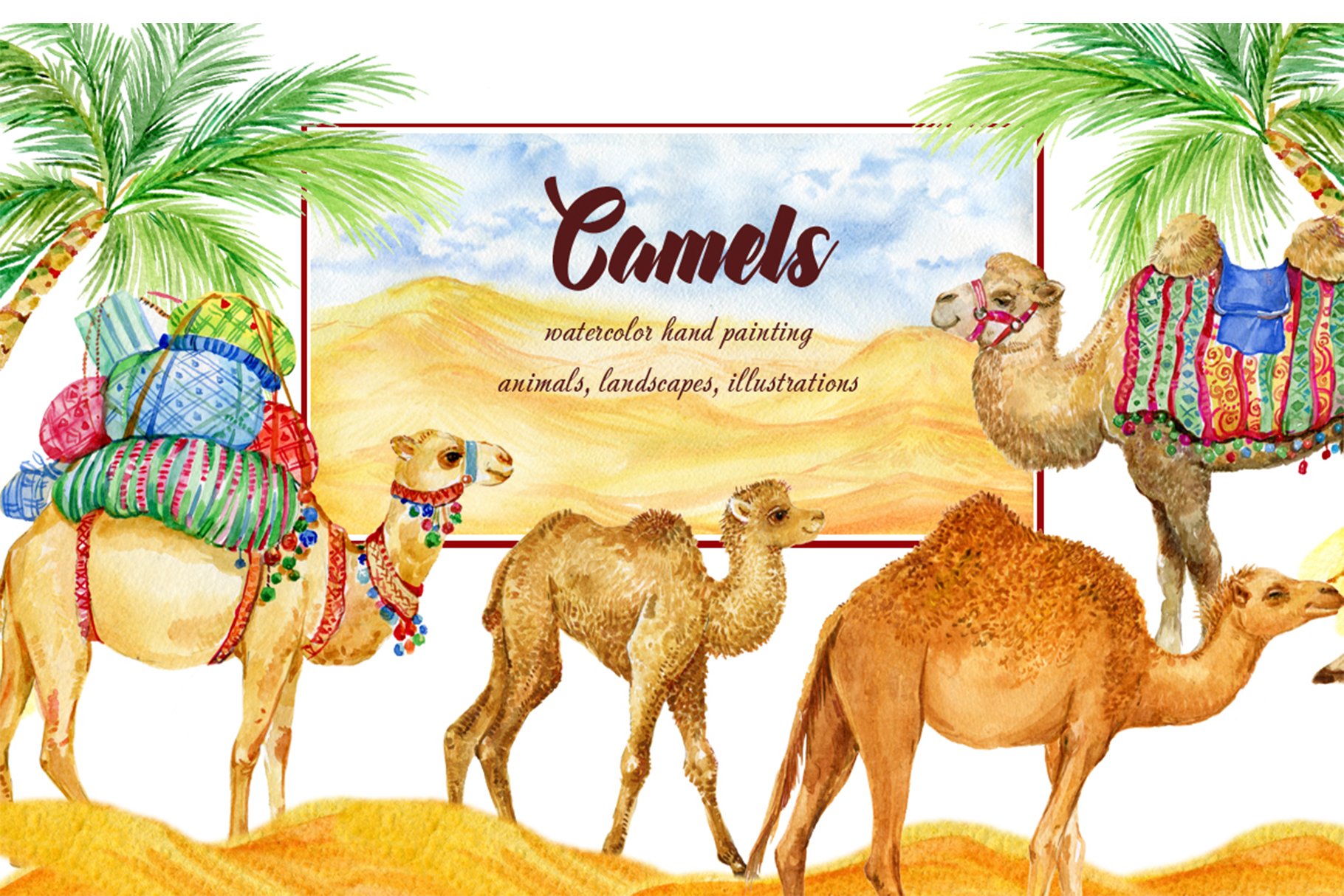 Colorful camels.