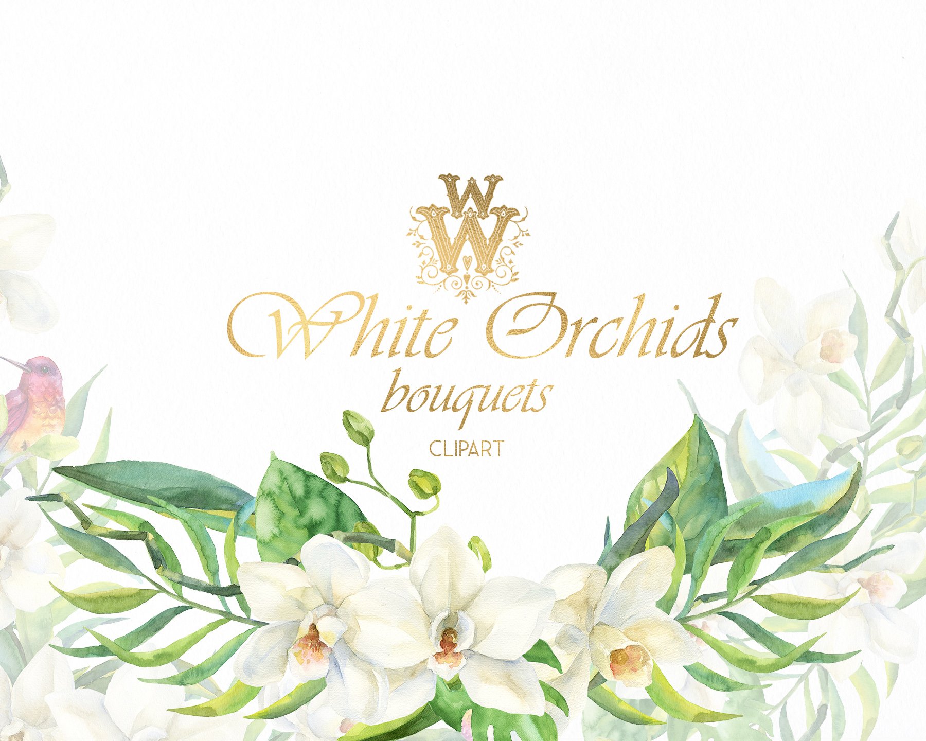 Cover image of White Orchids Watercolor Clip Art.