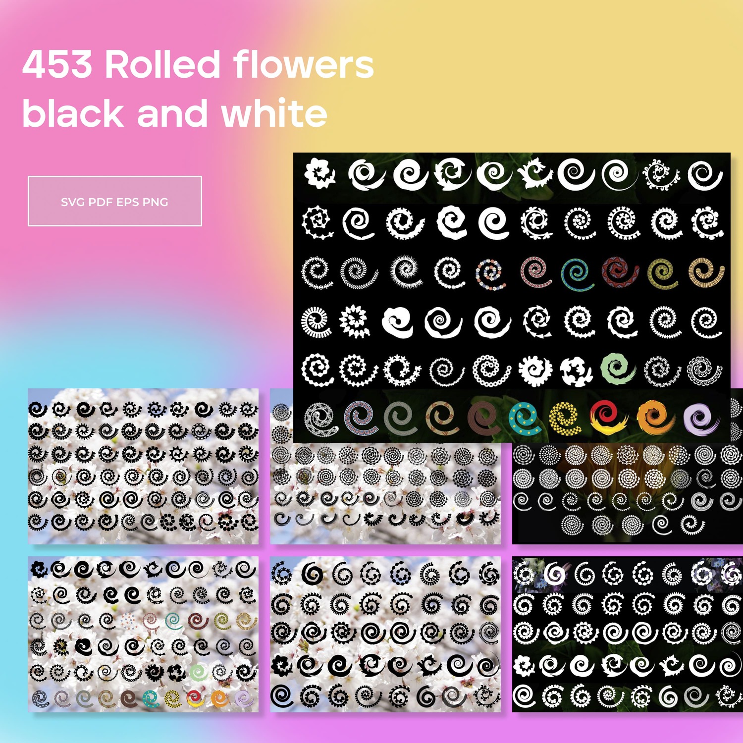 453 Rolled flowers black and white main cover.