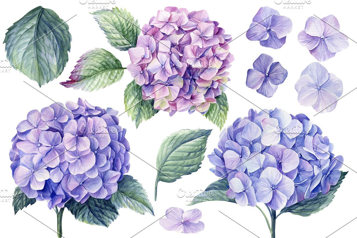 The clipart includes blue bell, dahlia, rose, clematis, hydrangea.
