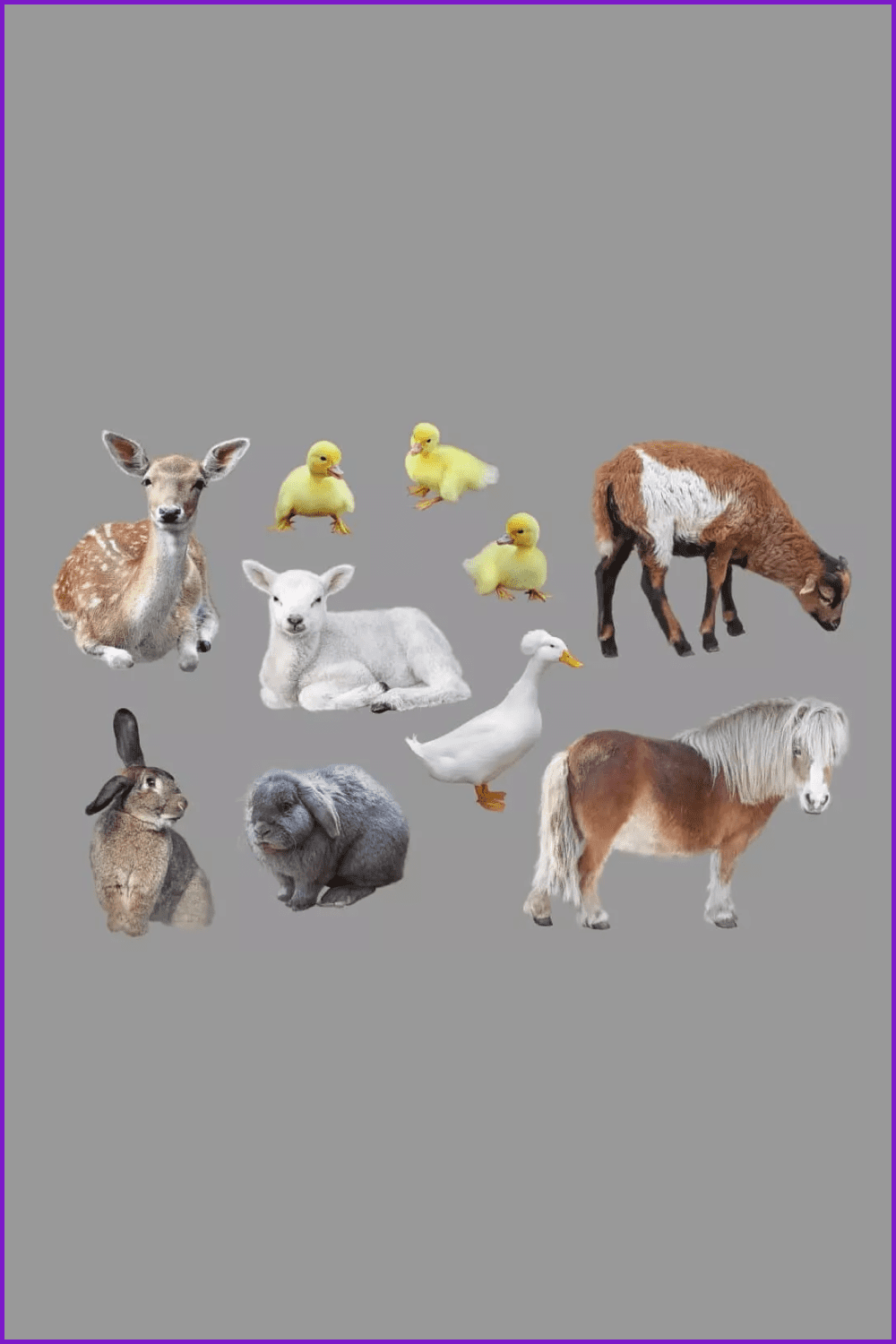 Spring Easter Animals & Background.