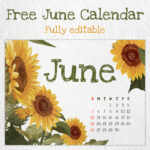 10 Free Editable June Calendars – MasterBundles