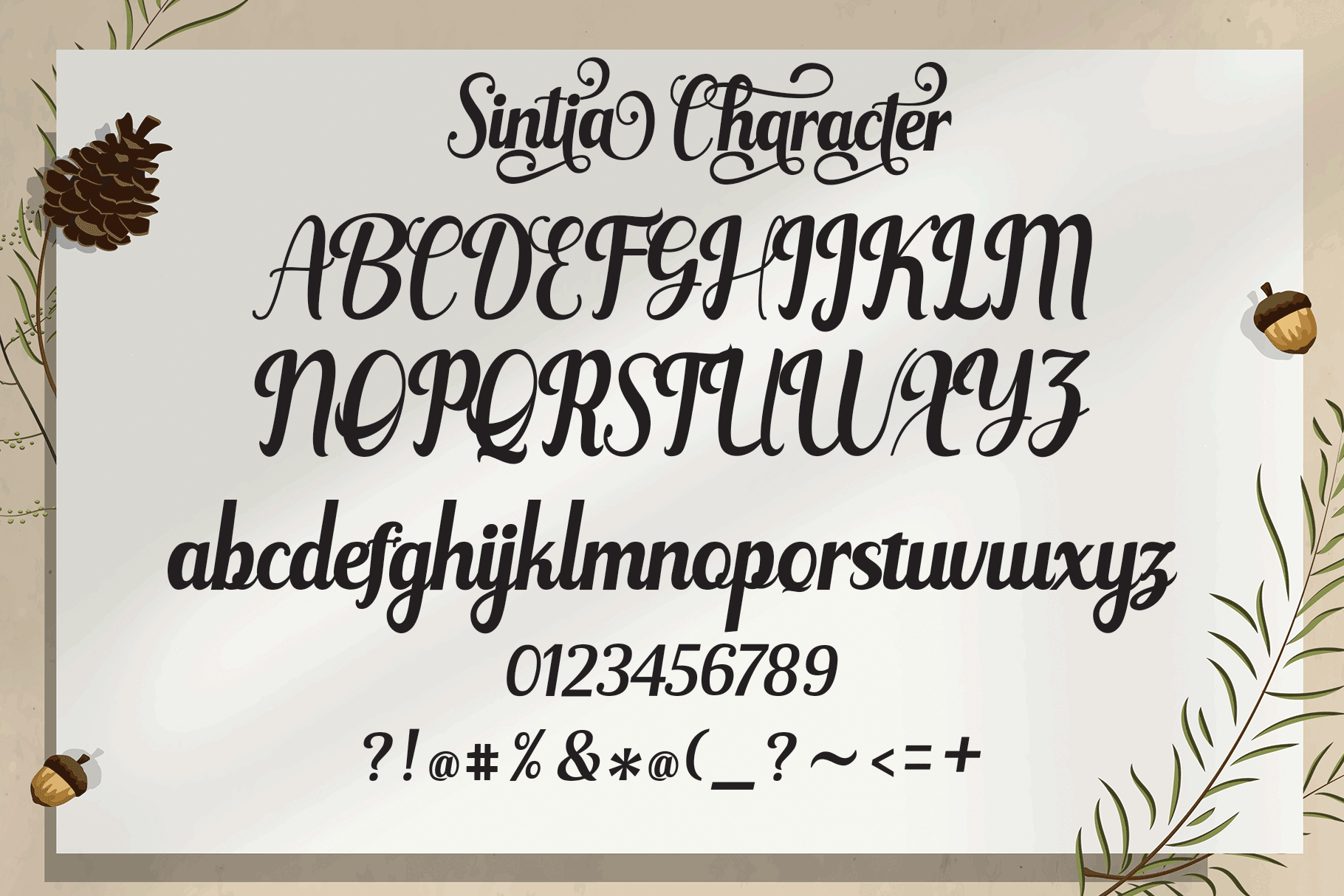 OpenType features with alternative styles, ligatures, and multiple language support.