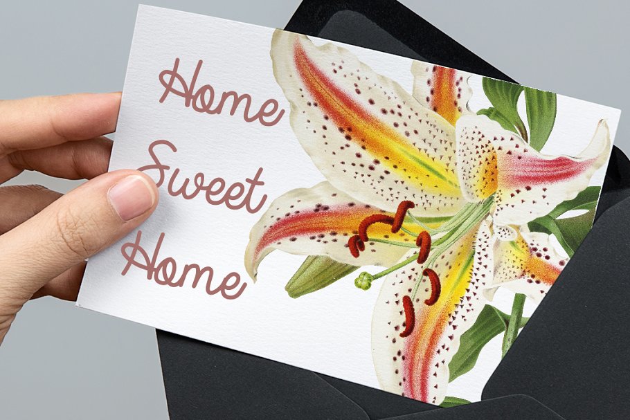 Perfect invitations, craft projects, paper products, printable projects and much more.