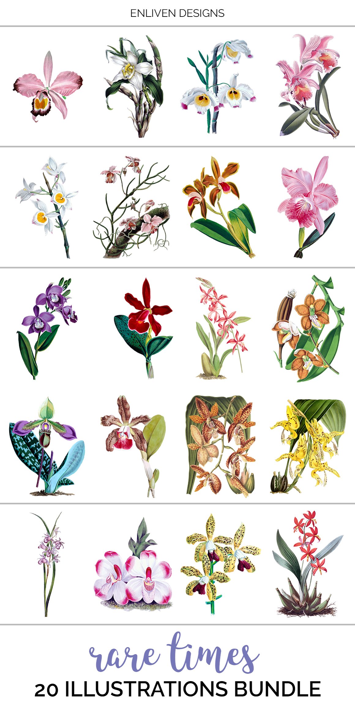 The handpicked orchids have been carefully color corrected to look fresh and new.