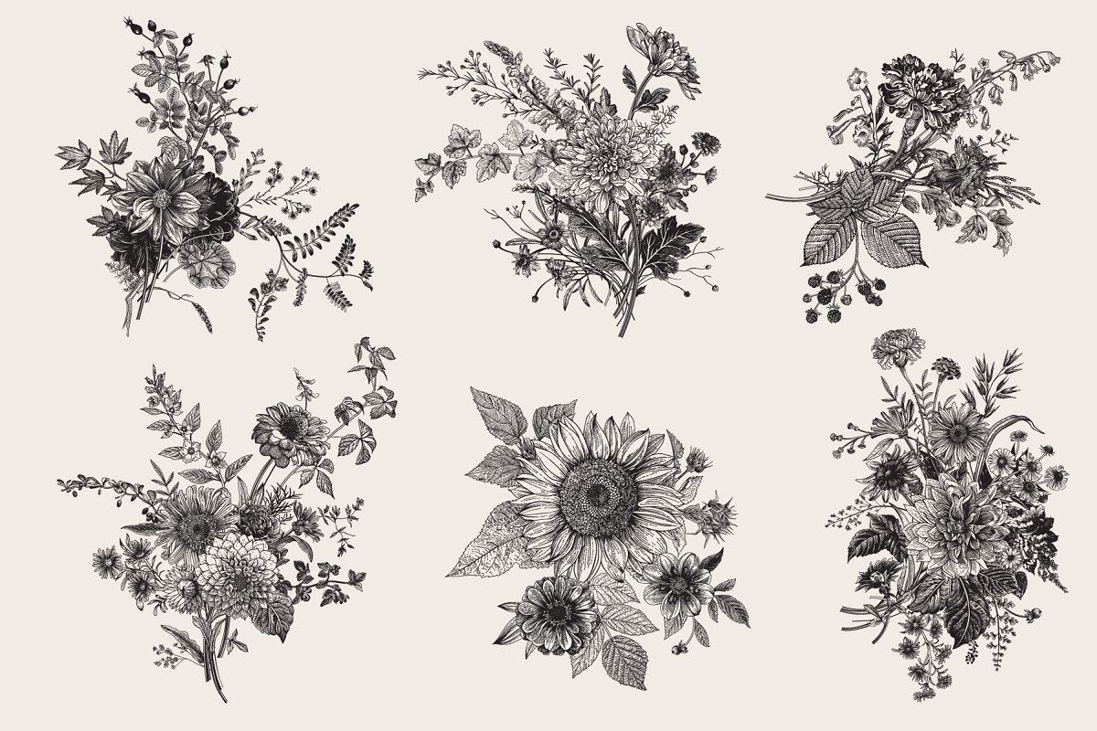 The product contains a large vector collection of hand-drawn graphic chrysanthemum flowers.