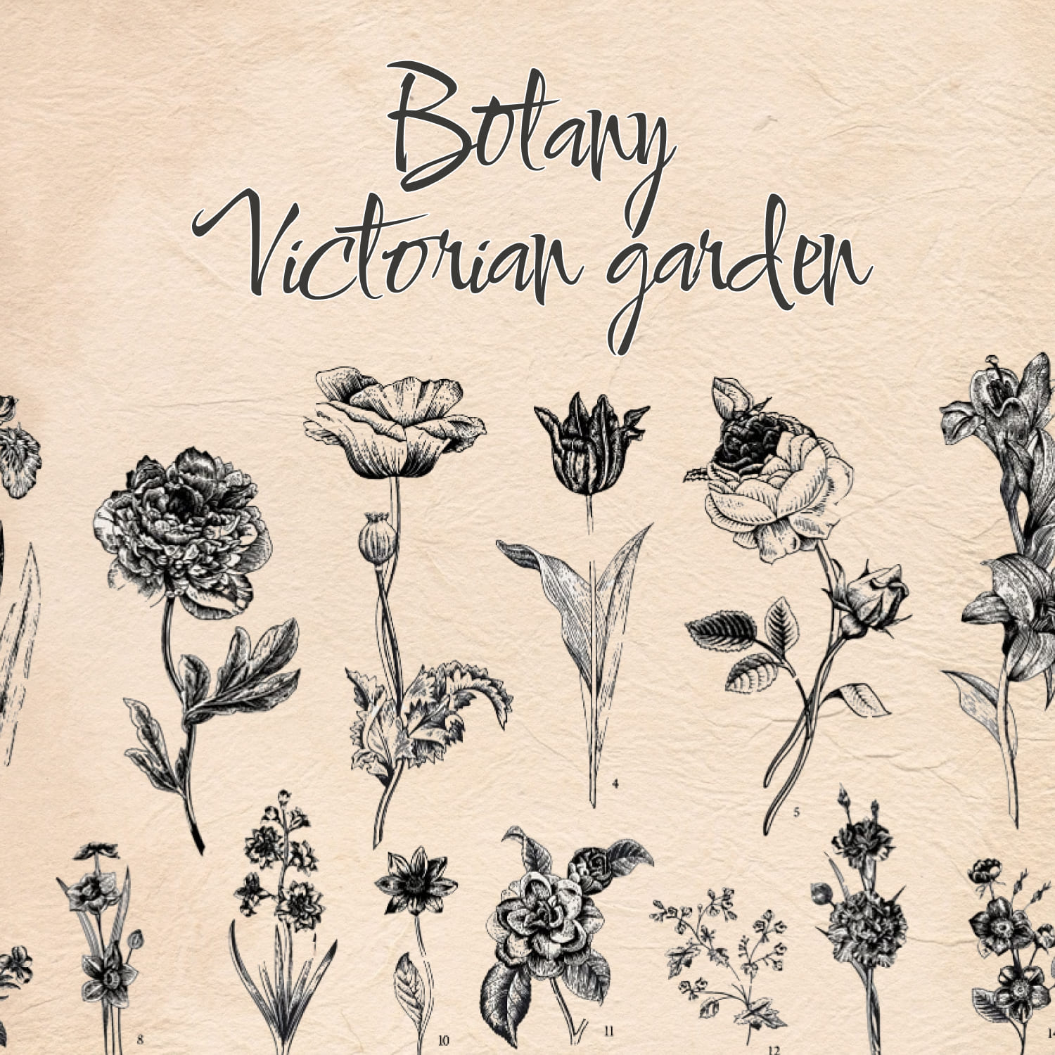 Botanical illustration set. Victorian garden. 28 flowers.