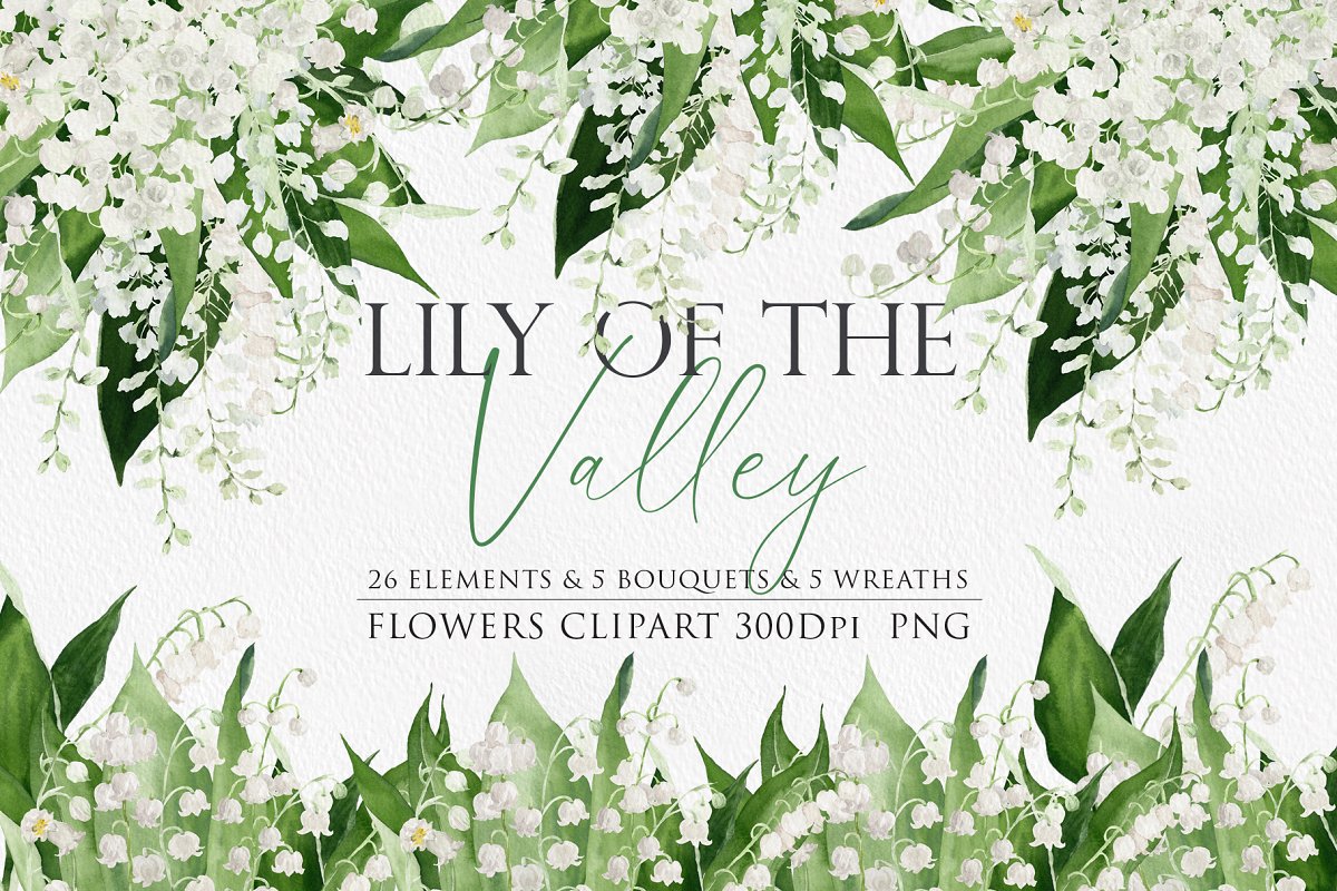 Cover image of Lily of the Valley Watercolor.