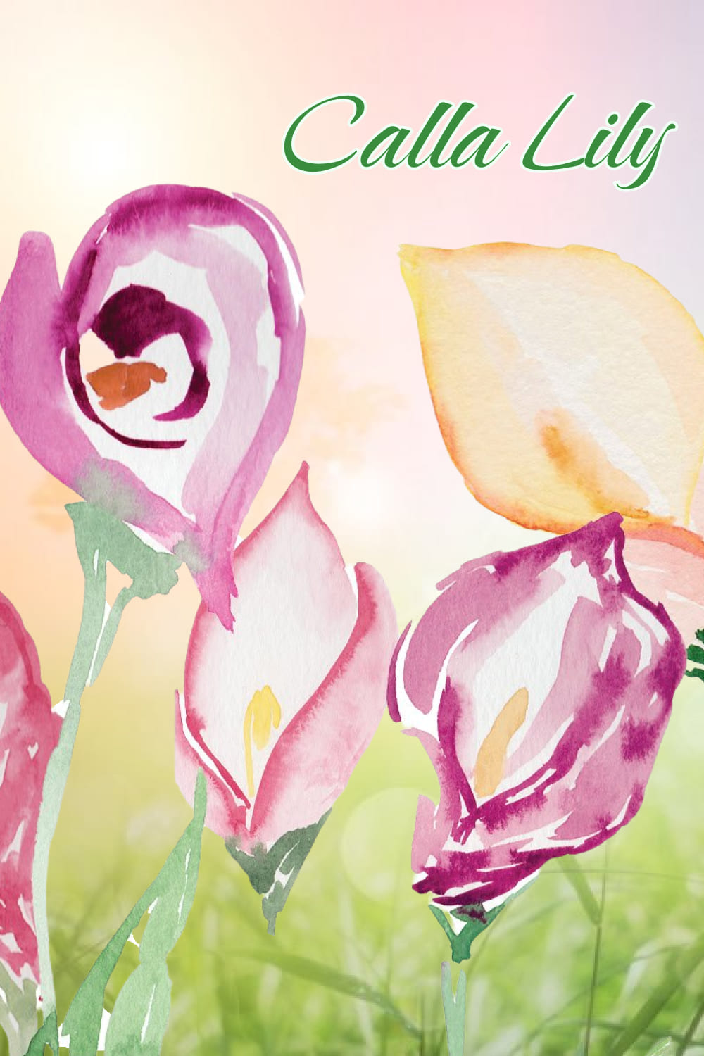 Calla Lily: Watercolor Illustrations - preview image.