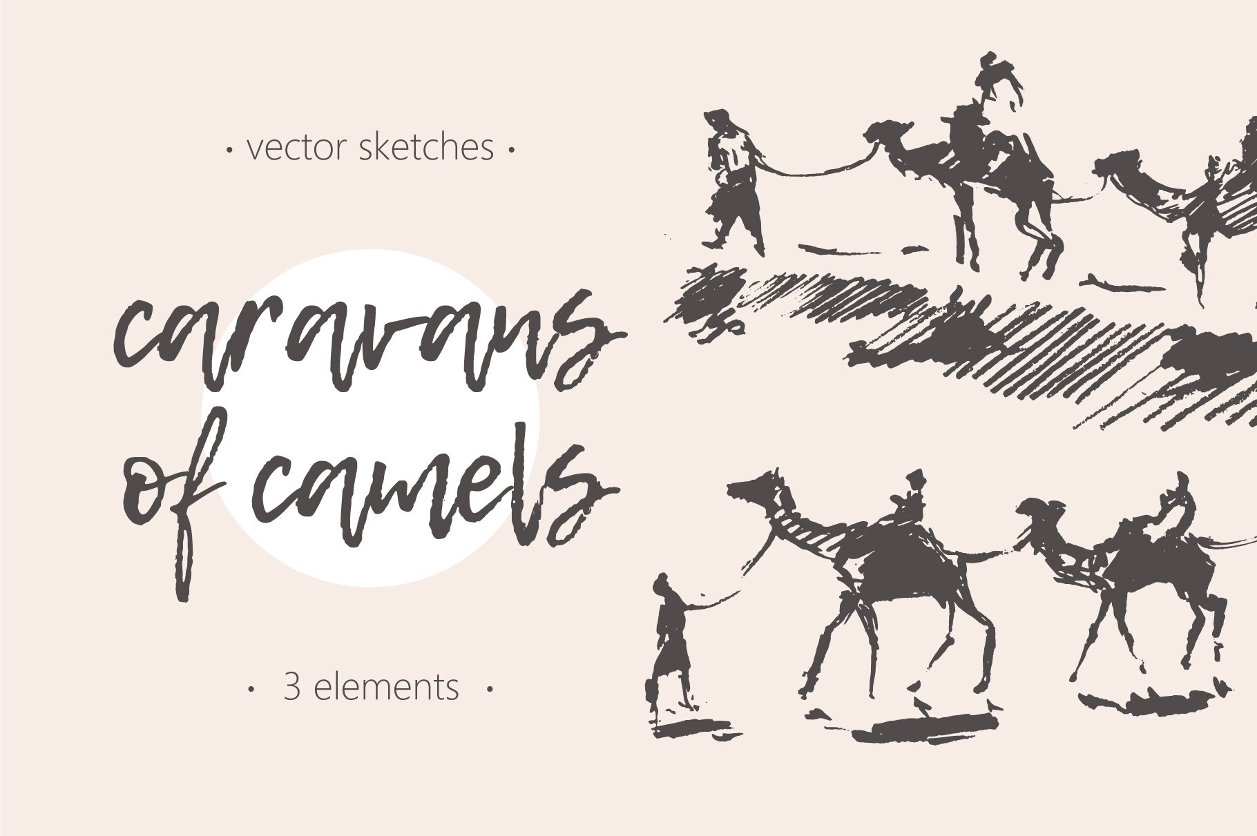 Vintage illustration with camels.