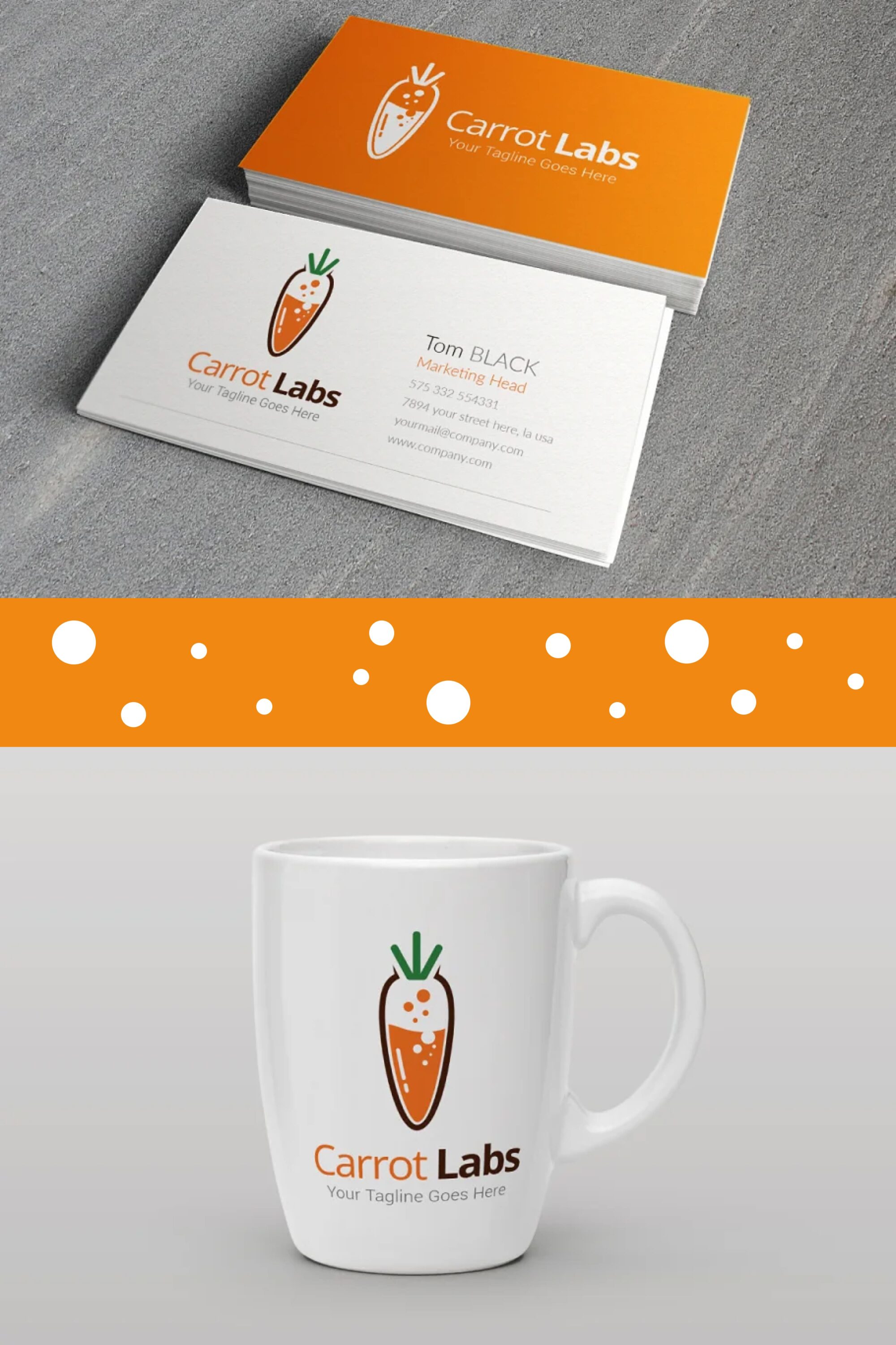 carrot labs logo template 04